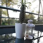 Barca House - Nature - Golf - Pool & 아파트 에스포센데