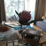 Barca House - Nature - Golf - Pool & 아파트 에스포센데