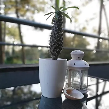 Barca House - Nature - Golf - Pool & 公寓 埃斯波森迪