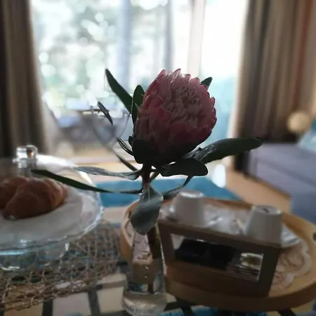 Barca House - Nature - Golf - Pool & Apartment Esposende
