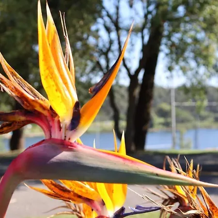 Barca House - Nature - Golf - Pool &