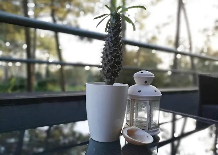 Barca House - Nature - Golf - Pool & Appartamento Esposende