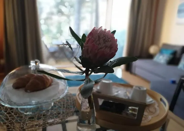 Barca House - Nature - Golf - Pool & Appartamento Esposende