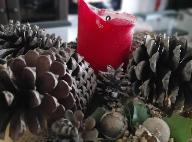 Barca House - Nature - Golf - Pool & *