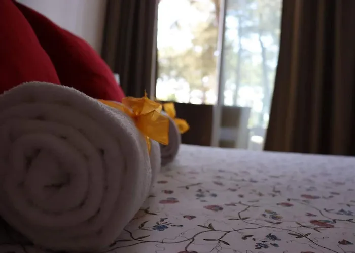 Barca House - Nature - Golf - Pool & Appartamento Esposende