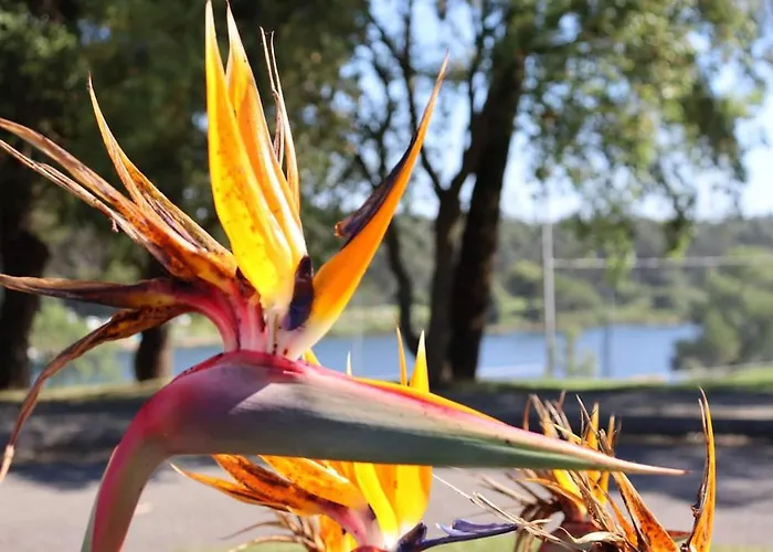 Barca House - Nature - Golf - Pool &