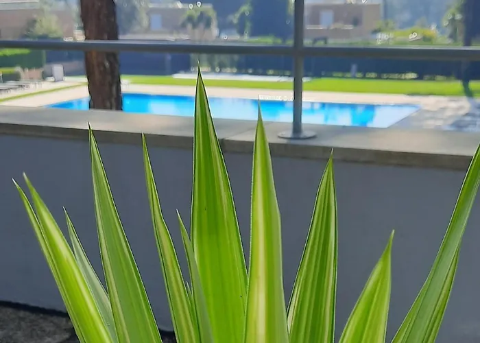 Barca House - Nature - Golf - Pool & Appartamento Esposende